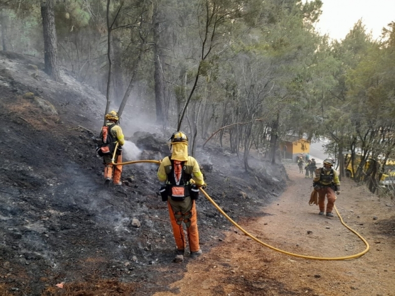 Radiografía del incendio forestal de Tenerife: un paraíso natural bañado por el fuego